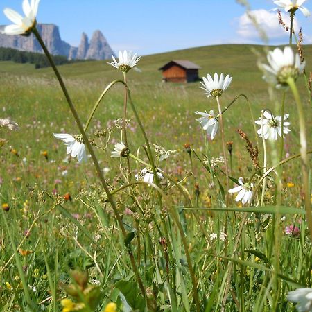 Feldererhof Villa Siusi Luaran gambar